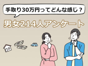 手取り30万円　キャプチャ